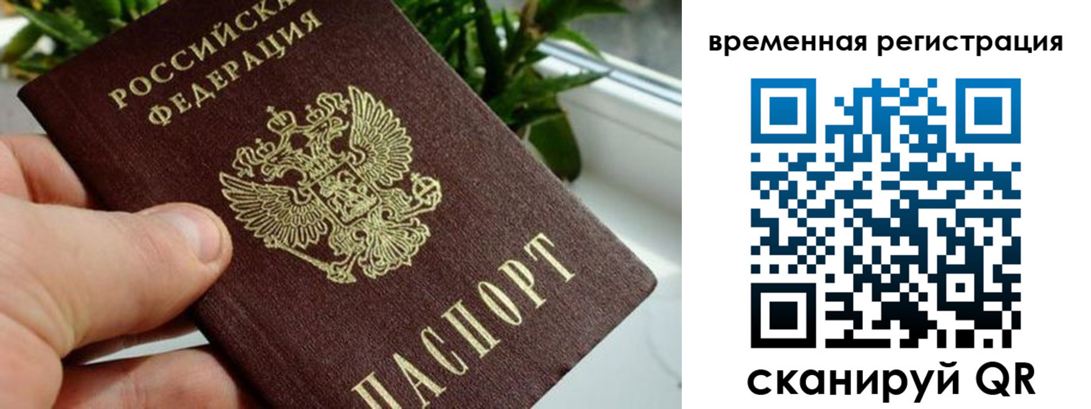 прописка поиск в Бахчисарае
